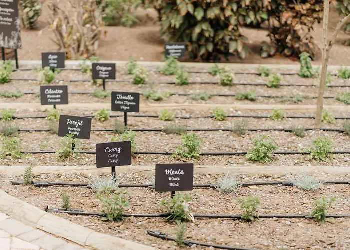 R2 Rio Calma Hotel Costa Calma