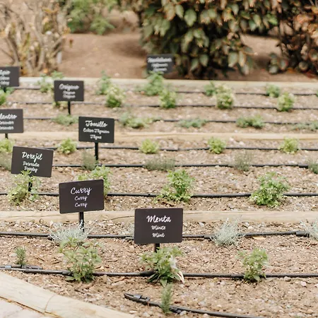 R2 Rio Calma Hotel Costa Calma