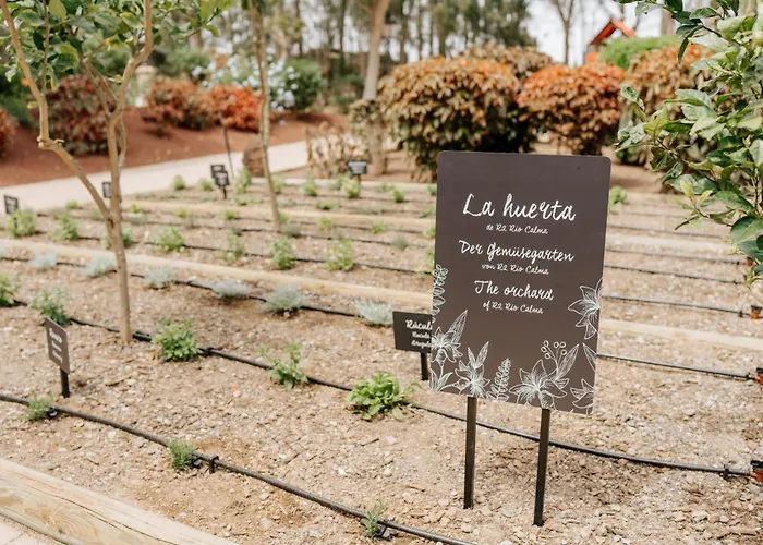 R2 Rio Calma Szálloda Costa Calma